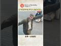 笑顔で大切な家族を見送る父親。乗り込んだ列車の中で息子が気付いた『最後の真実』に世界中が涙した理由【あるある・ほっこり・感動】