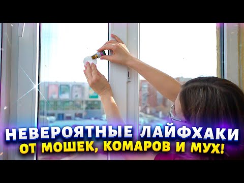 РАБОТАЕТ БЕЗОТКАЗНО! Комары и мухи забыли дорогу в мой дом. Хитрый трюк избавиться от них навсегда.