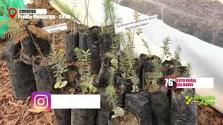 VIVERO AGROFORESTAL Córdoba Norte ►Ing Miguel Dragovich, responsable técnico Vivero