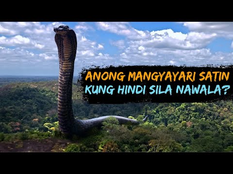 Video: Ano ang kasama sa Anaconda Python?