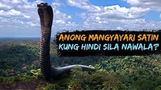 Paano Kung Hindi Nag Extinct Ang Anoboa? Anong Mangyayari Satin?