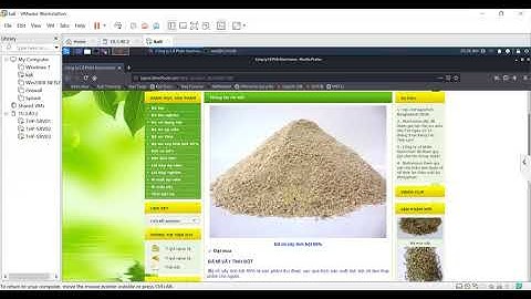 khai thác sql injection thực tế