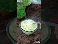 পায়েস রেসিপি #priyarrannaghor #shorts #recipe #shortvideo #viral #foryou #ytshorts