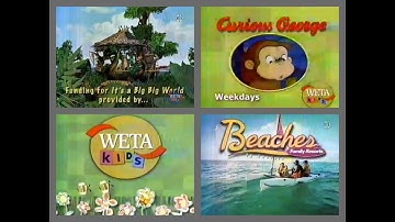 PBS Kids Program Break/Split Recording (2006 WETA) Incomplete