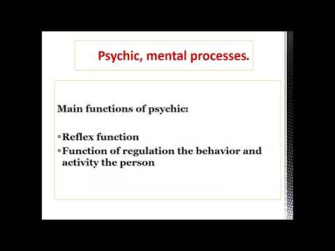 Lecture 1 Psychology