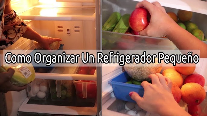 Cómo organizar el refrigerador?