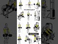Big Biceps Banane Ka Best Workout 🔥 @FitWithDeepak27