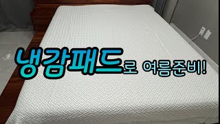 [딩크vlog] 드디어 냉감패드 구입 | 단일메뉴가 편한 딩크직장인