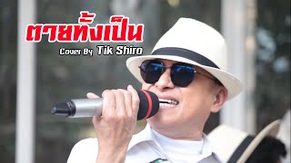 ตายทั้งเป็น - ติ๊ก ชิโร่ [COVER] | แจ้ ดนุพล แก้วกาญจน์