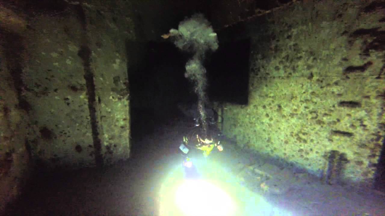 Dutch the frog TECH man