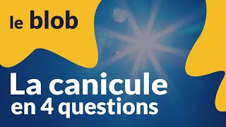 La canicule en 4 questions | Interview skype