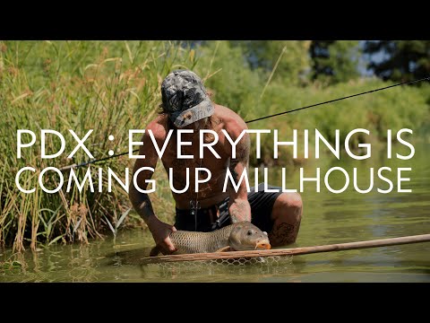 David Gravette Fly Fishing and Skateboarding in Portland - Everything is Coming Up Millhouse