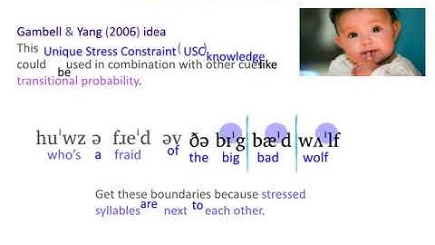 Acquisition of Language 2: USC + TrProb Seg