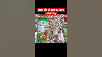 Hướng dẫn sử dụng thuốc trừ cỏ VOI RỪNG hiệu quả