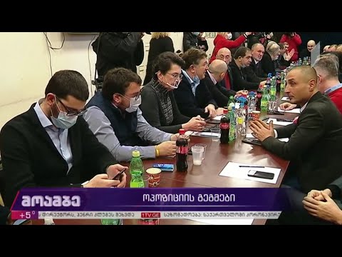 ოპოზიციის გეგმები