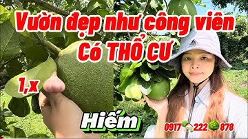 Đất vườn đồng nai , bán gấp 1000m2 có thổ cư vườn đẹp như công viên tại Long Khánh