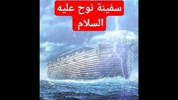 القارئ الشيخ بلال دربالي  نوح عليه السلام