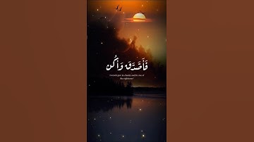 #القارئ أحمد النفيس تلاوة خاشعة ومؤثرة وهادئة تريح القلب أرح قلبك #احمد_النفيس #تلاوة_خاشعة
