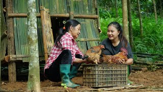 Download Lagu Gezonde kippen zijn een goede start voor May en de veehouderij van haar oma. MP3 Download Lagu Gezonde kippen zijn een goede start voor May en de veehouderij van haar oma. MP3