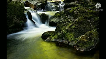 Instrumental Music - Peaceful, Soothing, Meditation Music (Traditional Veena)