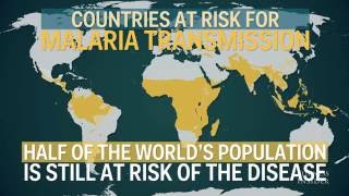 Malaria is the deadliest disease in human history