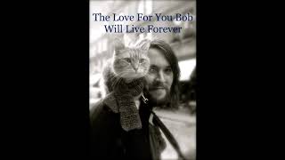 In Memory of Street Cat Bob  Paul Cope