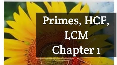Primes, HCF, LCM Ex 1A Q1, 5 NSM1 D1 O level Mathematics.
