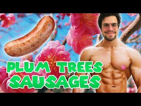 Japanese Plum Tree Festival Vlog