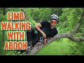 How to tree limb walk w abdon