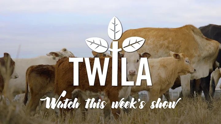 TWILA -- February 17, 2018