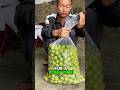 See How Chinese Preserve Shortsfeed Shorts Fruit Youtubeshorts Viralshorts China Facts