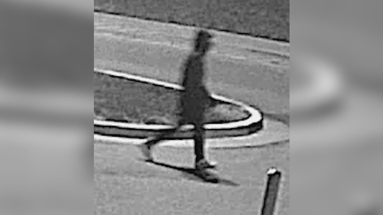 Excelsior Springs police track down suspect involved in string of car ...
