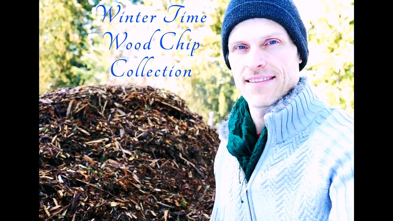 Collecting Wood Chips for the Spring Permaculture Garden YouTube