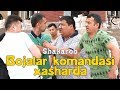 Shakarob - Bojalar komandasi xasharda | Шакароб - Божалар командаси хашарда