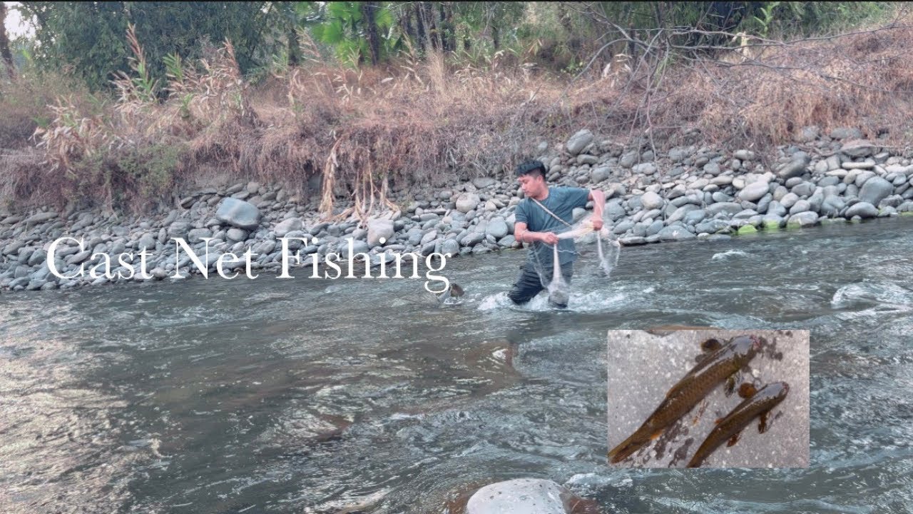 Cast Net Fishing || River Fishing.