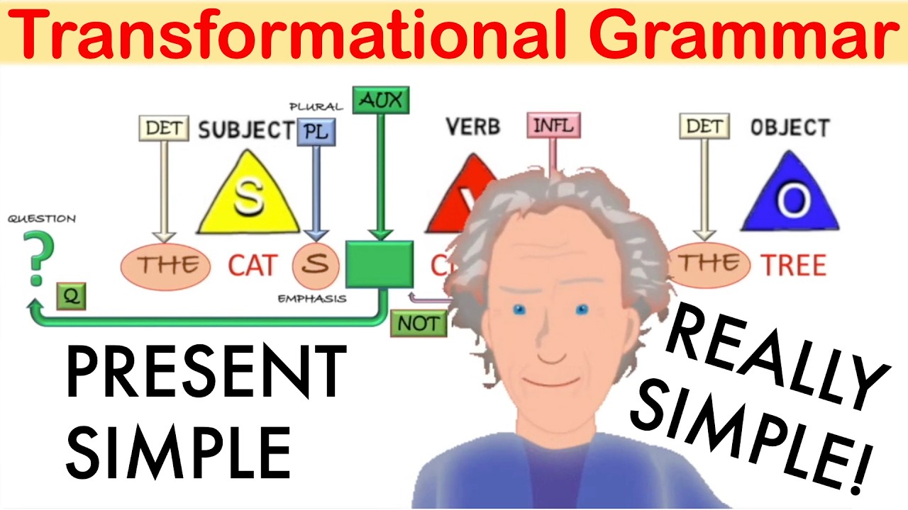 🧑‍🎓Transformational Grammar: A basic introduction. The present simple 👀
