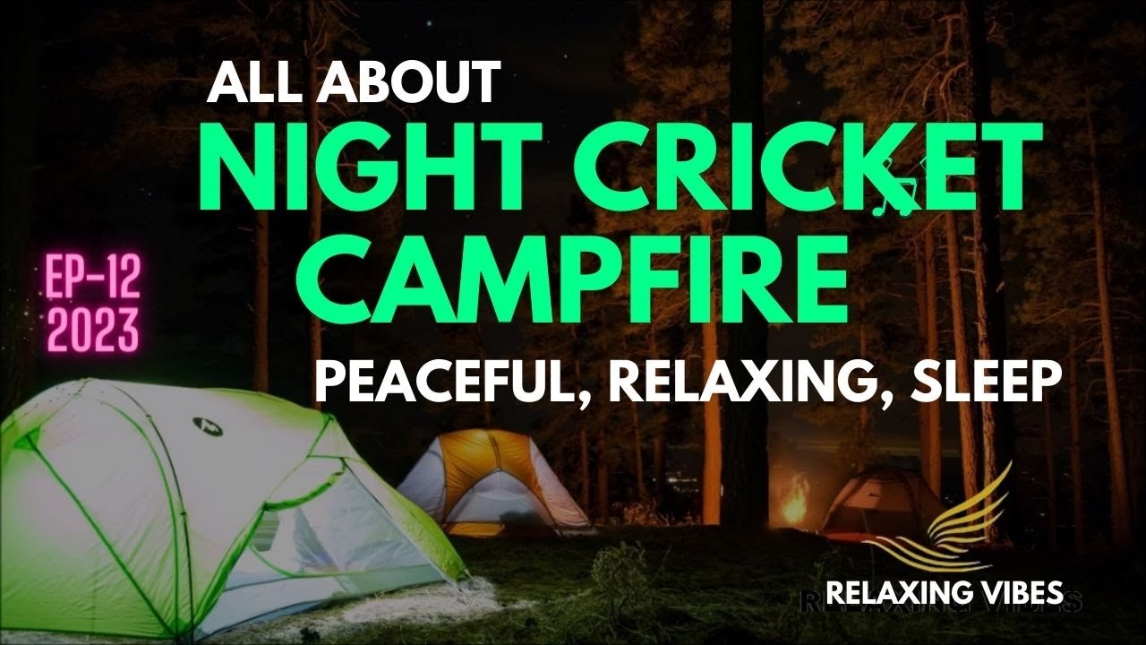 All About Night cricket campfire peaceful relaxing sleep 2023 | 4hrs - EP12