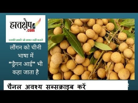 वीडियो: थाईलैंड में आप कौन से विदेशी फल खरीद सकते हैं