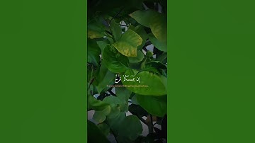 Sourate Al-Imran, سورة ال عمران #قران #quran #reels #سورة_آل_عمران #القرآن_الكريم #راحة_نفسية