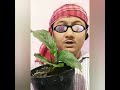When you get your wishlist plant and its too high in price just  see the reaction