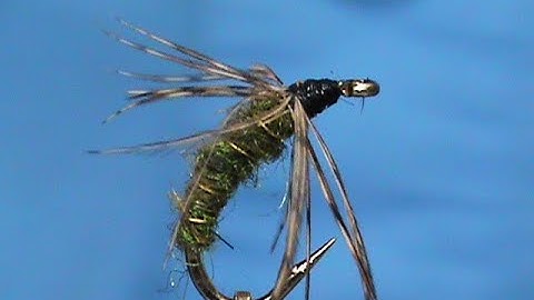 Beginner Fly Tying a Partridge and Green with Jim Misiura