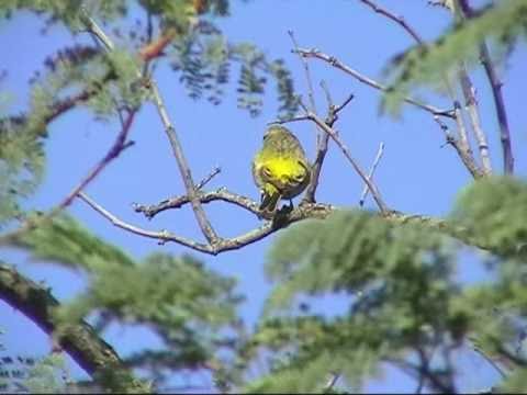 Africa 2007 Part 11