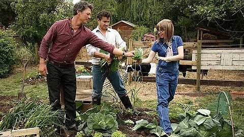 Giles & Sue Live the Good Life - Episode 3, Good Fortune