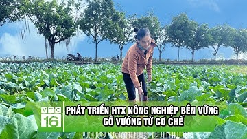 PHÁT TRIỂN HỢP TÁC XÃ NÔNG NGHIỆP BỀN VỮNG GỠ VƯỚNG TỪ CƠ CHẾ | VTC16