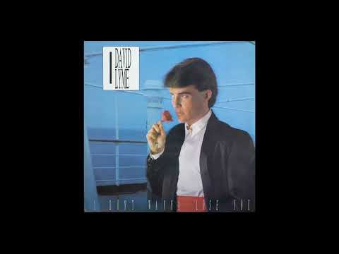David Lyme I Don T Wanna Lose You