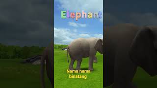 Nama Nama Animal namanamabinatang animals shorts