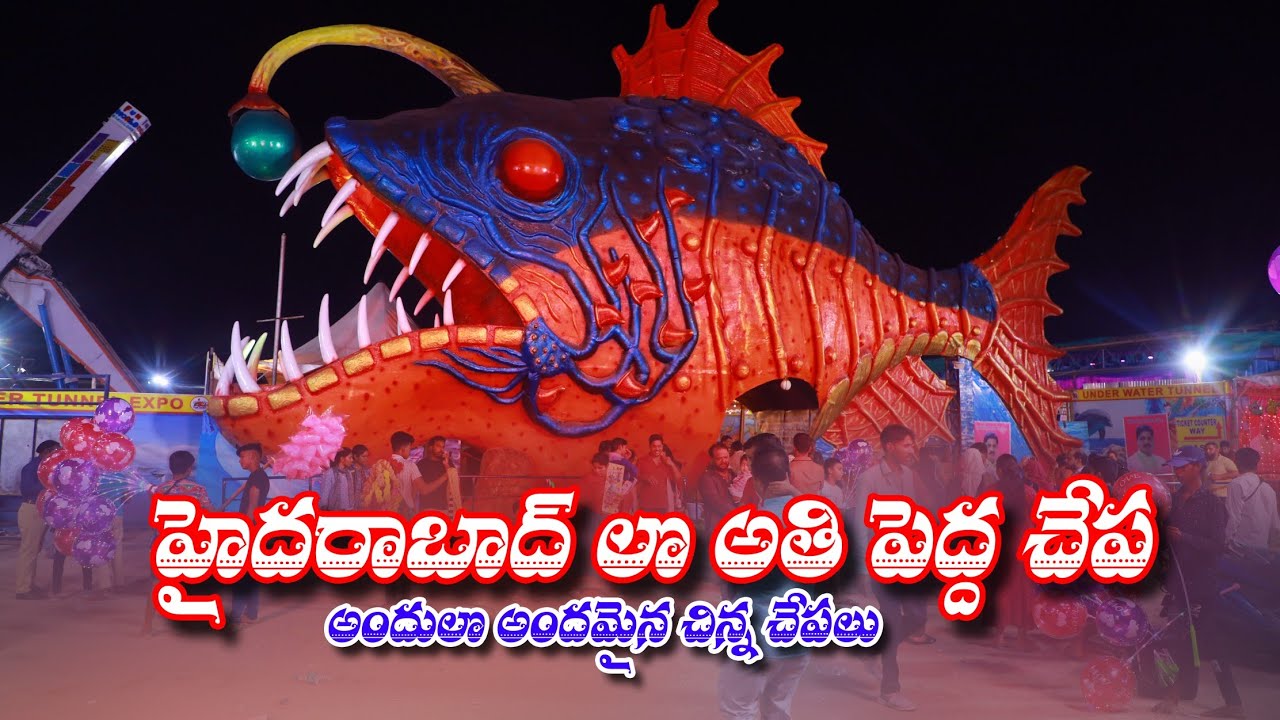 Underwater Tunnel Aquarium In Kukatpally YouTube