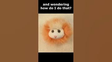 Naaldvilten Bont #naaldviltenvoorbeginners