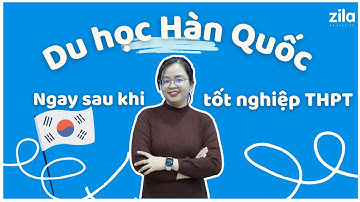 Có nên đi du học Hàn Quốc ngay sau khi tốt nghiệp THPT không? | Du học Hàn Quốc cùng Zila