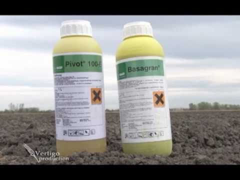 Video: Kompletné Chemické Zloženie Sóje
